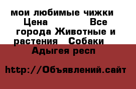 мои любимые чижки › Цена ­ 15 000 - Все города Животные и растения » Собаки   . Адыгея респ.